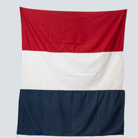 SMT00540 Vlag Coba Pulskens