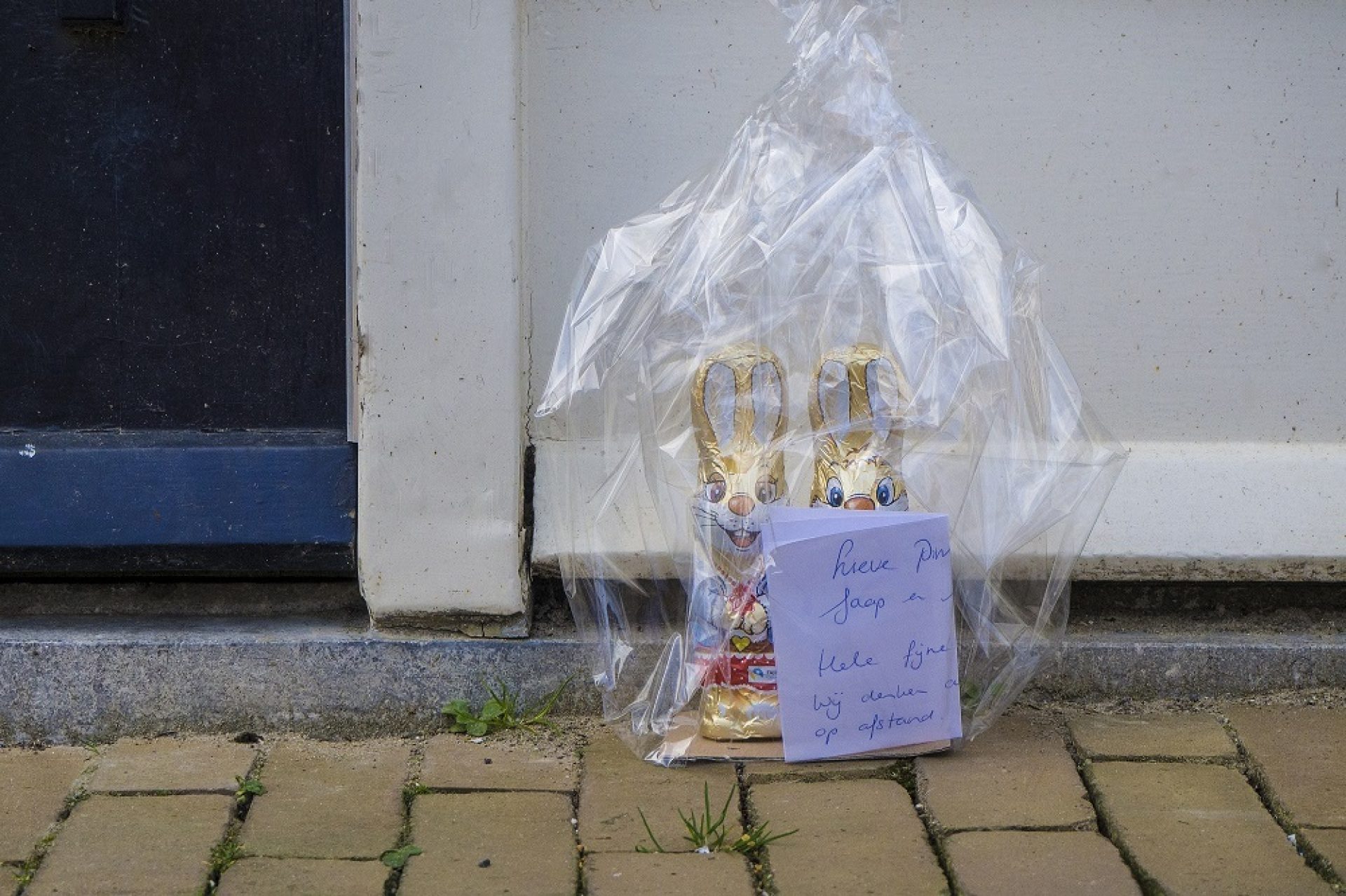 Foto Maria van der Heyden Corona Paashaasjes LR