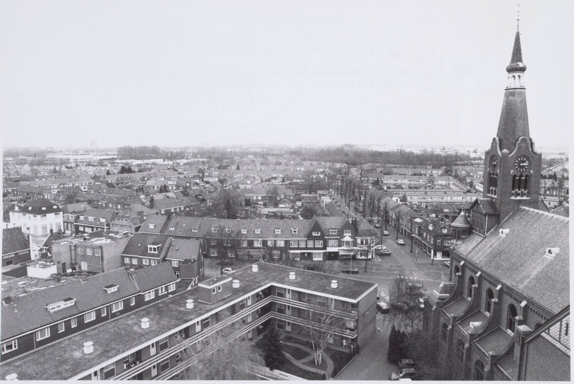 Kluun Padua RAT 022373