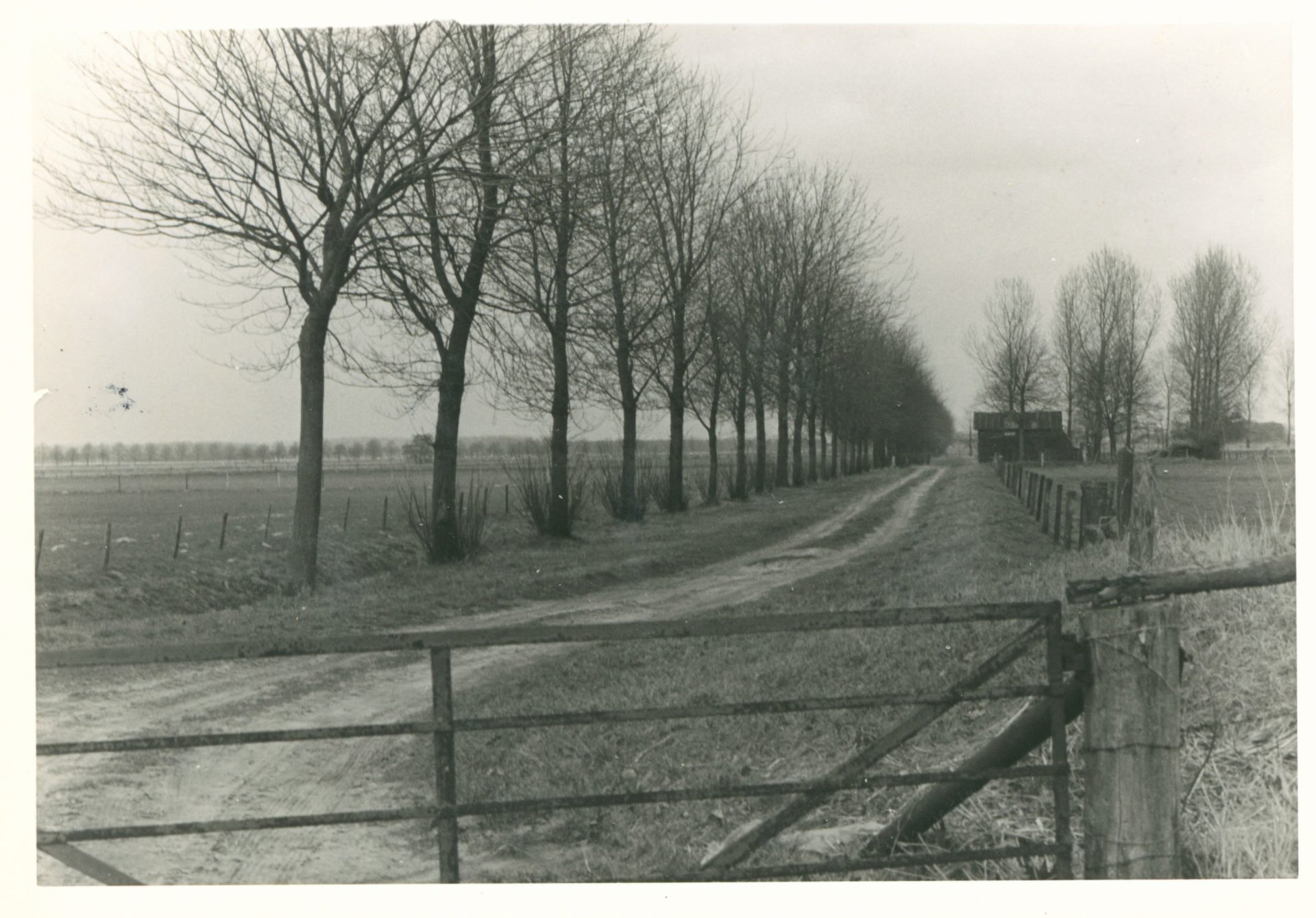 Reeshof Gebied waar de latere woonwijk de Reeshof is gebouwd 1980 foto gemeente Tilburg