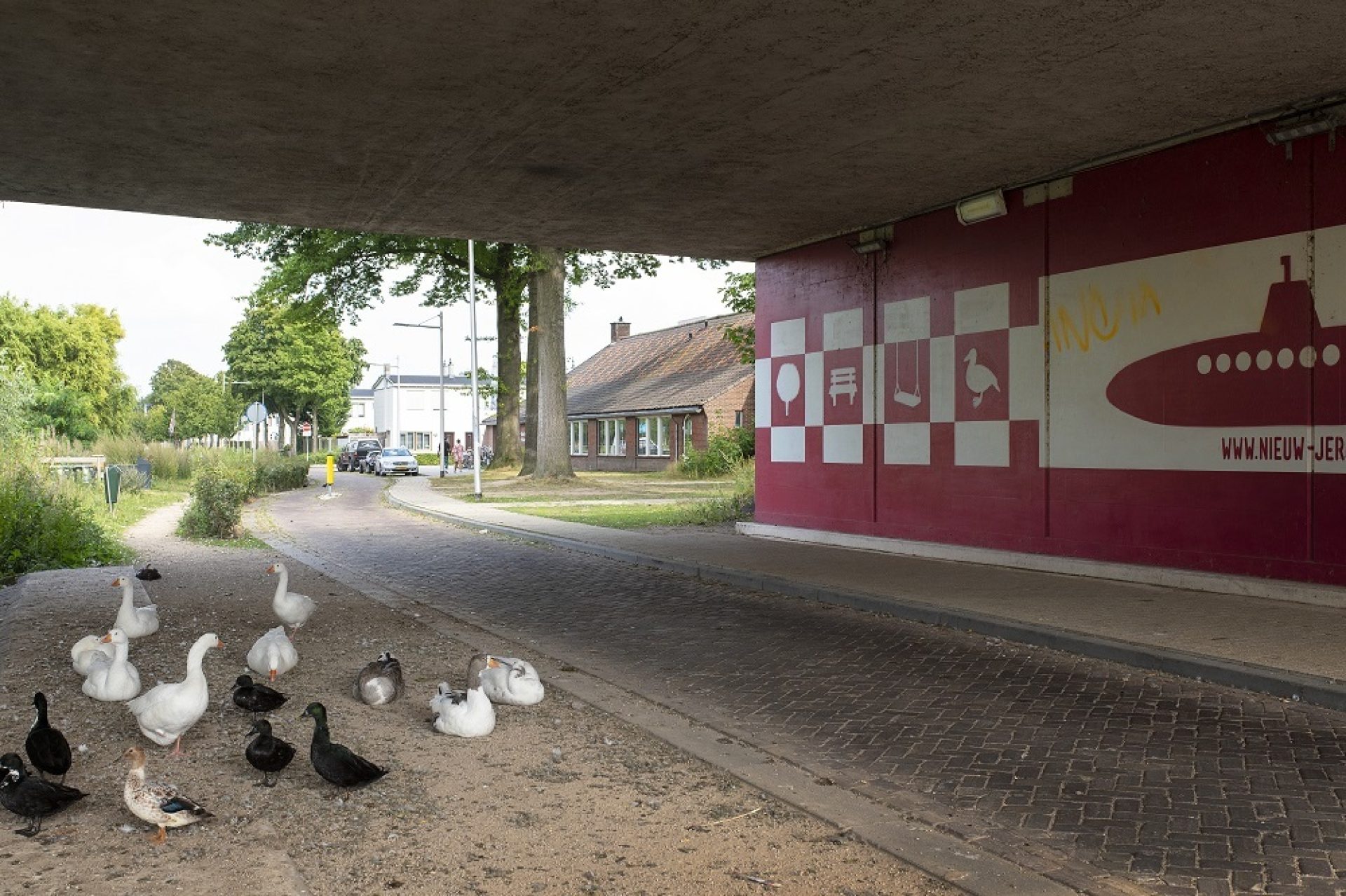 Foto wandeling Piushaven 2021 RAT Mvd H