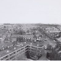 Kluun Padua RAT 022373